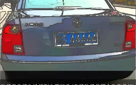 豹子号车牌为啥摇到也不能选(车牌豹子号哪个数字最好)