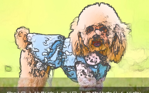 狗对风水的影响大吗(风水养狗的有什么讲究)