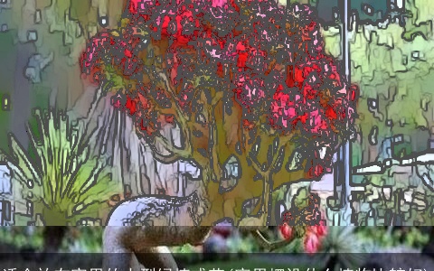 适合放在家里的大型绿植或花(家里摆设什么植物比较好)