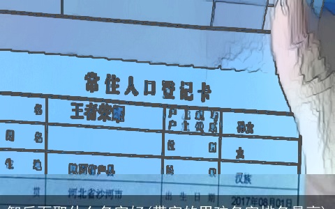 智后面取什么名字好(带字的男孩名字排名最高)