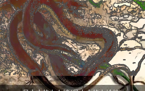 风水中的上山蛇(风水中的上岭蛇)