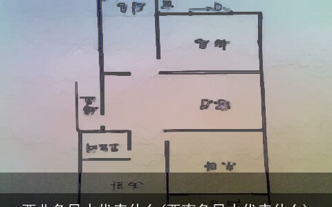 西北角风水代表什么(西南角风水代表什么)