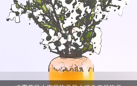 凌霄花风水家居饰品风水璞凡家居饰品