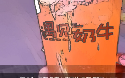 有几种奶茶名字(好喝的奶茶名称)