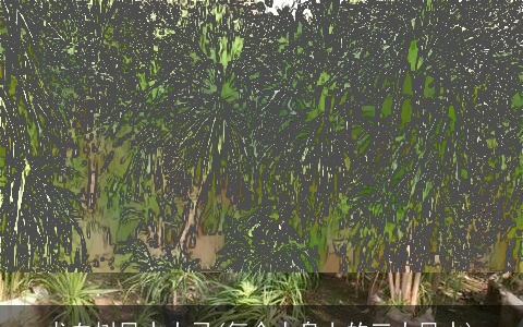 龙血树风水大忌(每个人身上的三大风水)