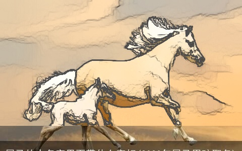 属马的人名字里面带什么字好(2023年属马男孩取名)