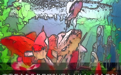 家里养金鱼几条最旺财(风水上什么人适合养鱼)