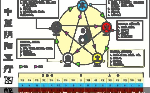 测一测五行缺什么(怎么测自己五行缺什么免费)