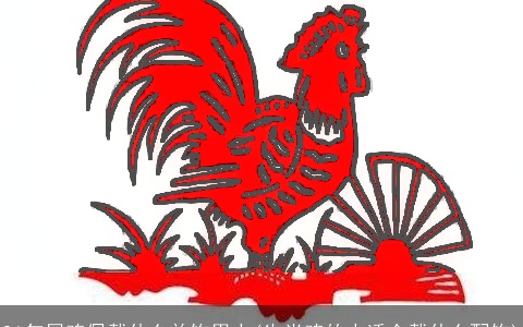 81年属鸡佩戴什么首饰男人(生肖鸡的人适合戴什么配饰)