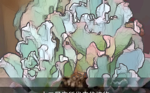 十二星座所代表的植物