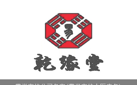 带堂字的公司名字(带堂字的中医店名)