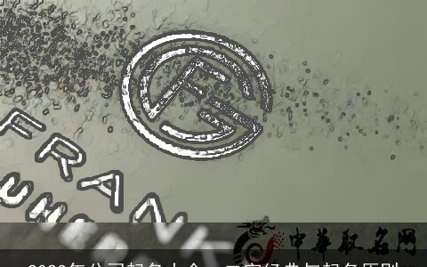 2023年公司起名大全：二字经典与起名原则