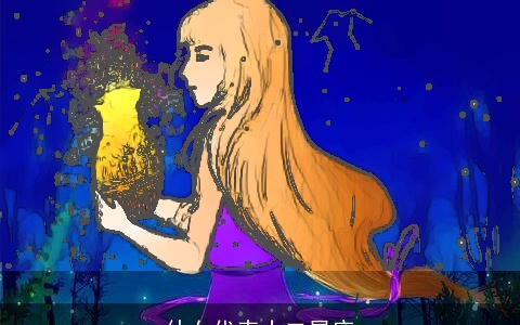 仙女代表十二星座