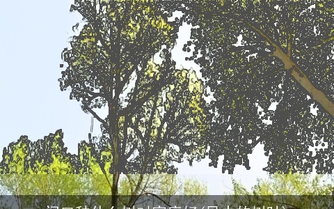 门口种什么树对家庭好(风中的树叶)