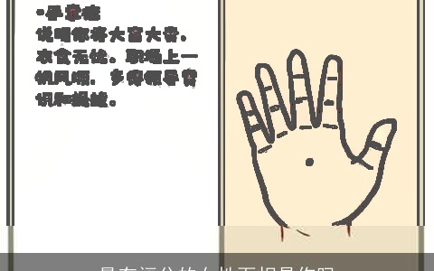 最有福分的女性面相是你吗