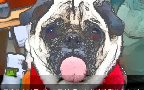 属狗什么时辰出生富贵(六月出生的狗狗取什么名字)