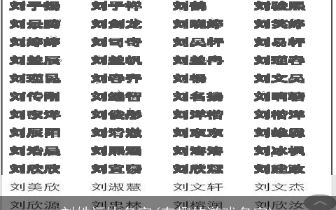 刘姓逗比名字(有趣的游戏名字)