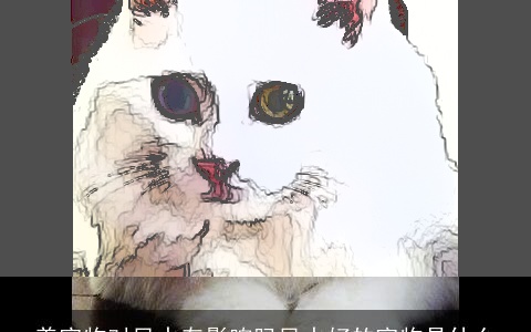 养宠物对风水有影响吗风水好的宠物是什么