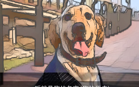 一听就是狗的名字(狗的历史)