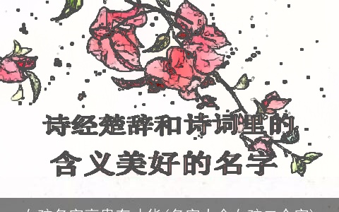 女孩名字高贵有才华(名字大全女孩二个字)