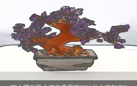 家中哪些风水摆件是不可以让他人接触的?