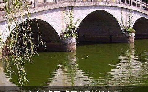 含桥的名字(名字里有桥好不好)