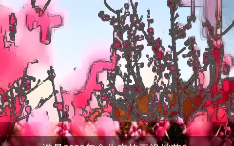 谁是2023年金牛座的正缘桃花？