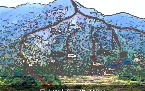 风水四大科，你了解吗