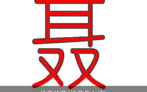 姓聂的聂(姓聂怎么读)