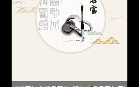 哪些字适合取名字(比较适合取名字的字)