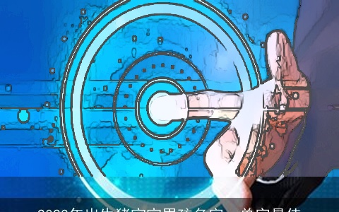 2023年出生猪宝宝男孩名字，单字最佳