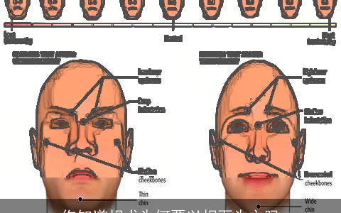 你知道相术为何要以相面为主吗