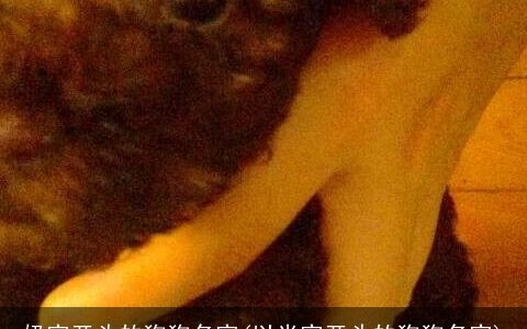 奶字开头的狗狗名字(以米字开头的狗狗名字)