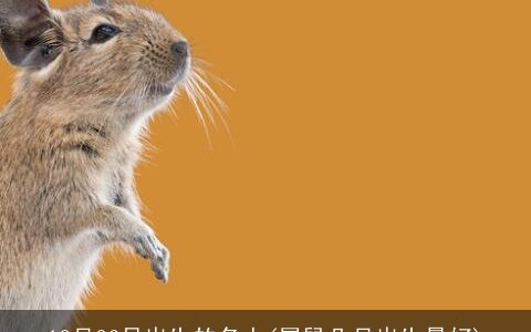 12月26日出生的名人(属鼠几月出生最好)