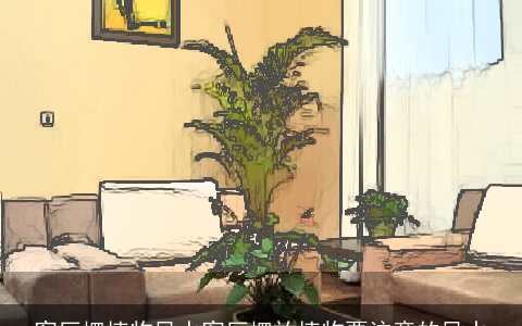 客厅摆植物风水客厅摆放植物要注意的风水