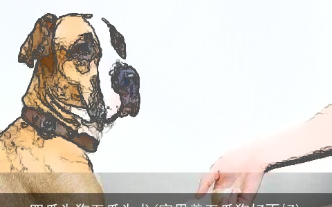 四爪为狗五爪为犬(家里养五爪狗好不好)