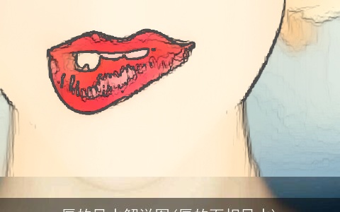 唇的风水解说图(唇的面相风水)