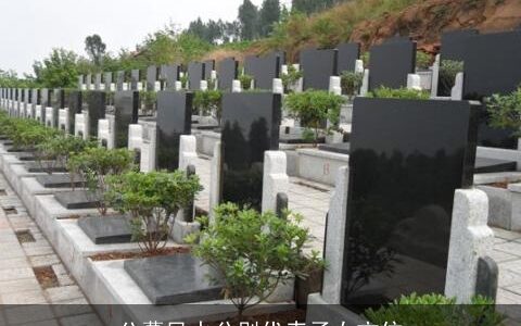 公墓风水分别代表子女方位