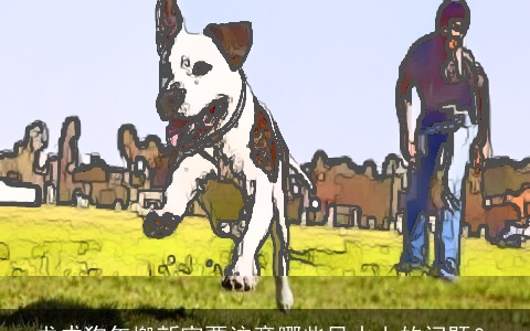 戊戌狗年搬新家要注意哪些风水上的问题？