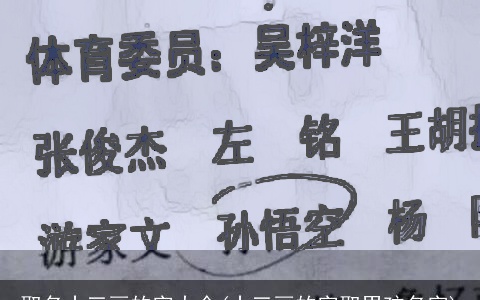 取名十三画的字大全(十三画的字取男孩名字)