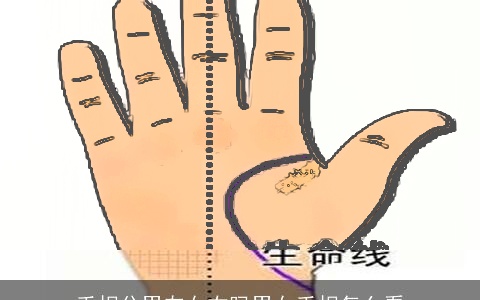 手相分男左女右吗男女手相怎么看