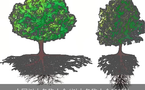 中国树木名称大全(树木名称大全500种)