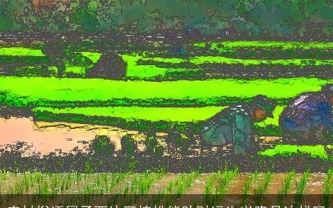 农村俗语屋子西边可植松能助财运生兴隆是这样吗