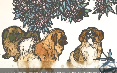 1982年属狗五行缺什么(属狗的取名字宜用什么字)