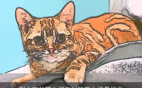 别人家的猫上门吉利吗猫上门是福兆