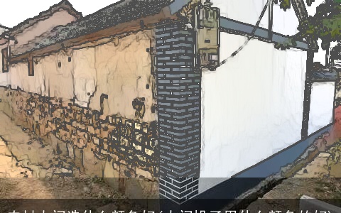 农村大门选什么颜色好(大门垛子用什么颜色的好)