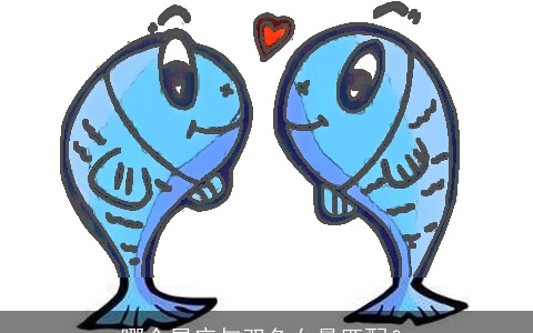 哪个星座与双鱼女最匹配？