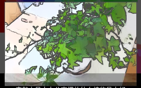 变魅力风水办公室摆放什么植物风水好