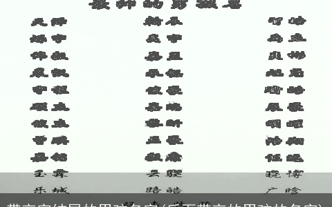 带言字结尾的男孩名字(后面带言的男孩的名字)