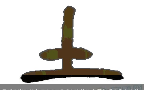 带禾字洋气的女孩名字(带禾字旁的字有哪些适合做名字的)